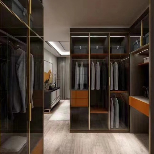 Closet and Wardrobe with Aluminum Glass Door