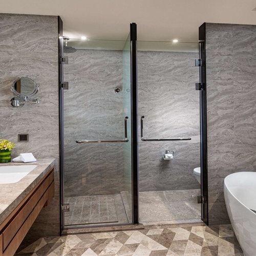 Glass Shower Partition and Swing Door