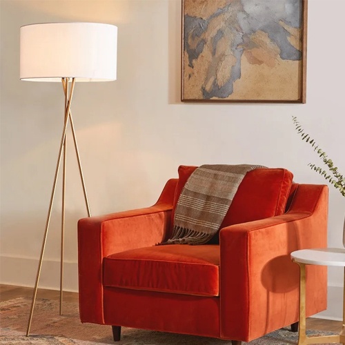 Lounge Chair with Floor Lamp