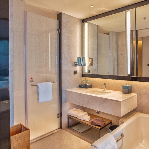 Shower Enclosure and Bath Vanities in Hotel Room