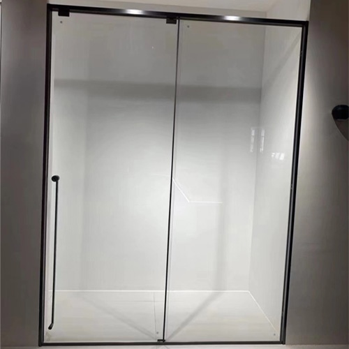 Slim Framed Glass Shower Door