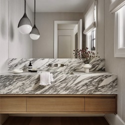 Arabescato Marble Lavatory Countertop