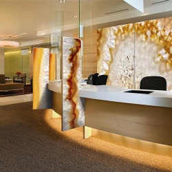 Decorative Patterned Interior Glass Wall for Reception Areas