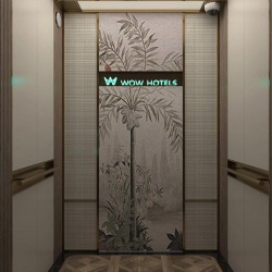 Digital Printed Glass for Hotel Elevator Cabin Saudi Arabia