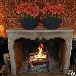 Fireplace at Le Pavillon de la Reine