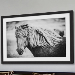 Framed wall artwork