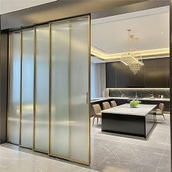 Frosted Glass Telescopic Sliding Interior Door