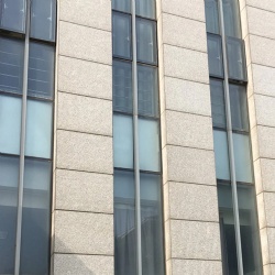 Glass Curtain Wall with Opaque Spandrel Glass Facade