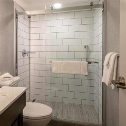 Glass Shower Door in DoubleTree by Hilton Hotel