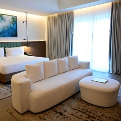 Hilton Garden Inn Guest Room Sofa