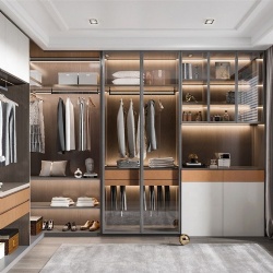 Modern Walk in Closet Storage Wardrobe Entry Lux Design Custom Closet Cabinet Bedroom Furniture Narrow Aluminum Frame Glass Door