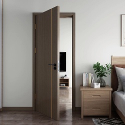 Modern interior door and millwork