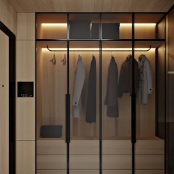 Modern wood wardrobe with aluminum trimmed glass door