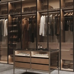 Modern wood wardrobe with aluminum trimmed glass door