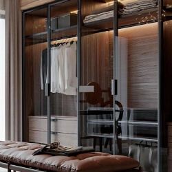 Modern wood wardrobe with aluminum trimmed glass door