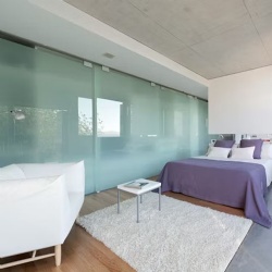 Pocket Glass Single Sliding Door