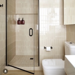 Single swinging glass shower door