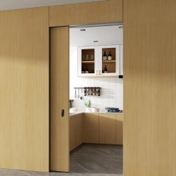 Sliding Pocket Door with Track and Pull