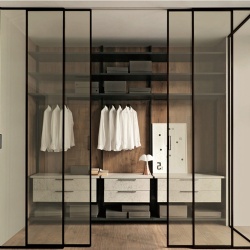 Slim aluminum framed glass door for walkin closet