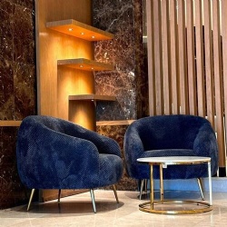 Soft Touch Velvet Upholstery Fabric for Furniture