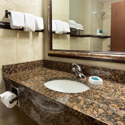 Tan Brown Granite Bathroom Vanity Top