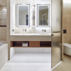 Tinted glass toilet door and double LED backlit vanity mirror