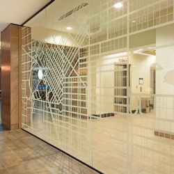 Translucent Etched Glass Partition for Hotel Public Areas
