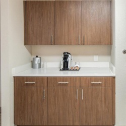 Wooden Cabinetry and Quartz Countertop