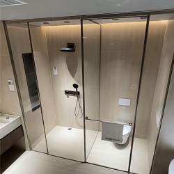 hotel shower toilet glass divider